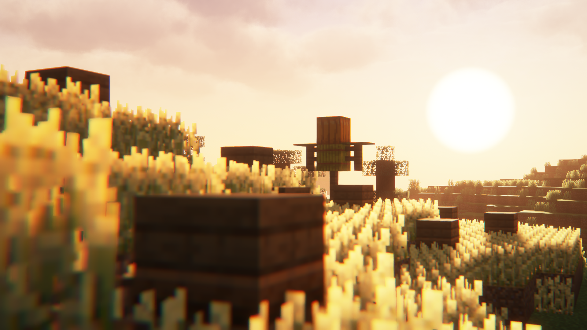 large picture of the cover